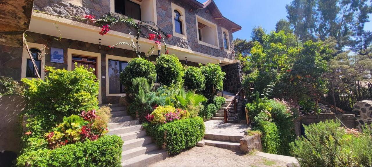 Lalibela Homestay エクステリア 写真